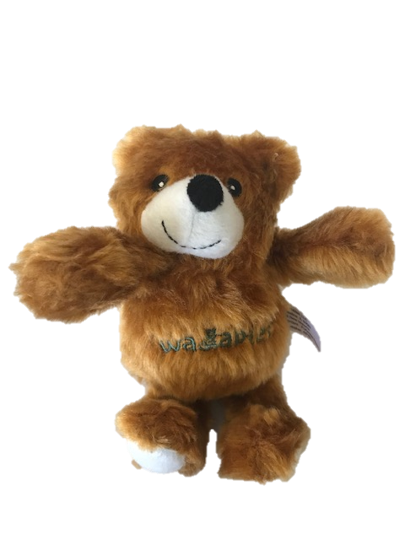 Bear Plush